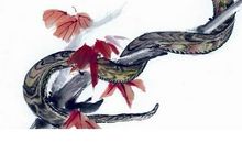 未来十天，红鸾星动，桃花运大旺的三大生肖！