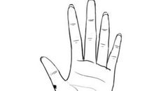 手掌上的夺物痣代表什么，会强取豪夺别人的东西？