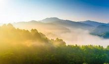 26号喜鹊叫， 3大生肖喜事到！10月喜洋洋，11月财滚滚，满地金银，天天开口笑