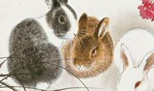 3生肖今年很萧条，明年是肥年，财运如火如荼，生活好上加好