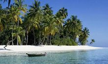 8.26-8.31号一周偏财最佳，鸿运不断，事业如意的生肖