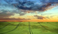 8月26号开始，偏财大赚，3生肖吉星高照，喜事数不清！