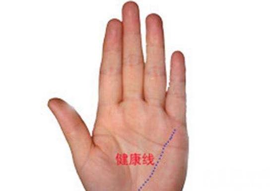 手掌纹路图解能知道自己的命运，生命线关乎人们身体健康 4