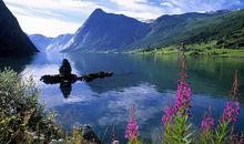 9月1号，开门接财神，3生肖闷声赚大钱，富贵在眼前！