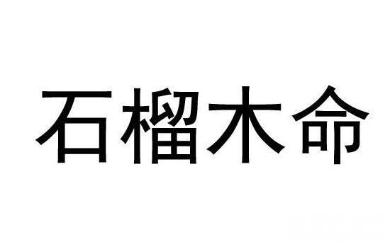 石榴木命的人财运很好，将来事业会很成功 1