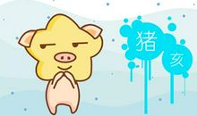 1983属猪36岁本命年 运势怎么样