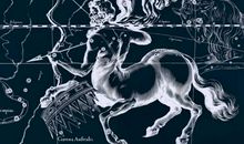 射手座女生最配星座是什么 白羊狮子天秤