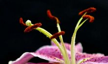 11月将会有贵人进门，财运亨通令人羡慕的3大生肖