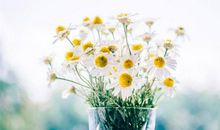 桃月将至，心动瞬间，出现刻骨铭心爱情的三大星座！