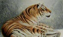 谁也别瞧不起此3生肖，心红面红，财运更红，良心不变，财运不灭