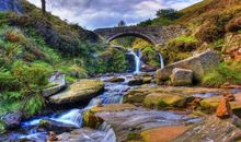 畏手畏脚总是错失良机的生肖女