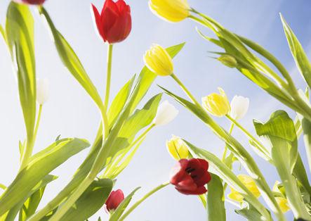 近期运势一飞冲天，贵人鼎力相助，财神庇佑，存款高涨的3大生肖 1
