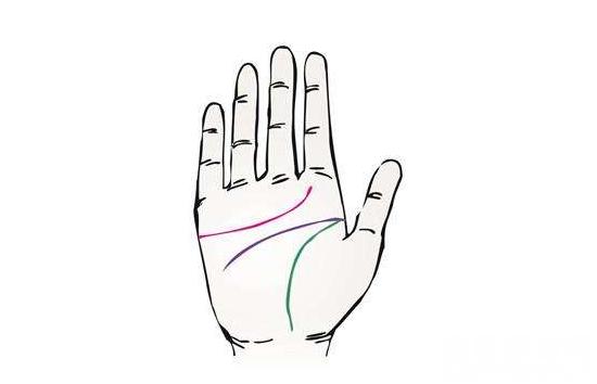 手掌纹路图解能知道自己的命运，生命线关乎人们身体健康 2