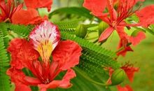 恭喜四生肖身边喜事多见，10月30号开始运势飞黄腾达，收入节节攀升!