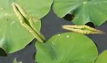 8月26日开始，事业顺，财运旺，横财大发，财富千万的3大生肖