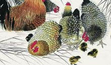 三大生肖从11月1日开始否极泰来，喜事多，职场上红，精神爽