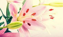 财神爷庇佑！进入11月份，3生肖财运飙升，财富大发