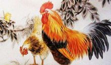 男鸡女猪的婚姻配对分析 男鸡女猪婚姻相配宜忌