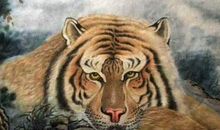 女人属这3生肖，婚姻来得晚，爱情来得迟，晚婚就没有二婚