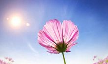 特大好消息！26号开始，大喜登门，3生肖月底发财、年底中奖，个个上等命