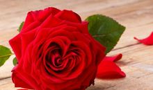 明年开始钱财大旺，正财收入多多，金库满满，成为超级富豪的生肖