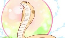 生肖属相也会是男孩子心动的原因，尤其是这个三个属相的女孩子