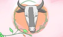 越看越美！这三大生肖女超级耐看！长相虽朴实，气质却独特