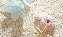 心肠最狠的三个星座，敢作敢当，一览众山下，奈何感情往往很失败