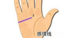 手掌纹路图解能知道自己的命运，生命线关乎人们身体健康