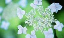 3生肖，时来运转，用麻布袋装大钱！10月大大好消息，11月横财不请自来