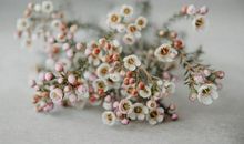 这三个星座男人心中，老婆永远第一