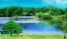 11月上旬3生肖攀登新的财富高峰，两财大旺，人生扬帆起航