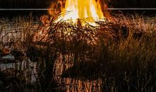 十月将会开启好运时刻，事业爱情，双双顺遂的4个生肖