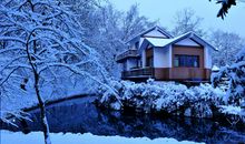 聪慧懂事协同性很强，能把每一件事都做好的生肖女