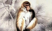 玄清风水命理：好运来身边，11月28号起运势升温，3大生肖事业突飞猛进