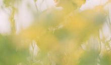 B型血的人命真好