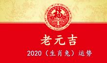 2020年（生肖兔）综合运势大全