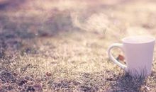 总是装作无所谓的样子，其实心里特别爱你的星座！