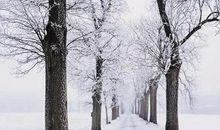 2019年大雪装修房子吉利吗,2019年大雪是什么时候？(图文)