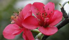 11月之后越来越富，有钱没烦恼的生肖，横财不断，富贵难档