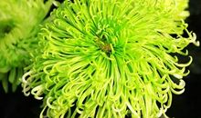 11月份财源广进的4属相，财运高涨，事业顺利，迎来美好生活