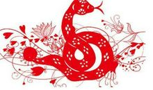 不同蛇年出生的人是什么蛇 生肖蛇不同年轮特点