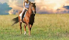 1978年的何时运气不佳(图文)