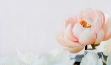 恭喜四生肖财运飙升，8月29号开始吉星入住财帛宫，大发特发!