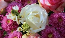 恭喜四生肖横财源源进入腰包，10月30号开始财运旺盛，带领家人致富！