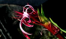 未来半年天赐大兆头，日进斗金赚到手软，财路大开的四属相