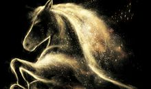 属马的今年多大 2019年肖马人年龄解析