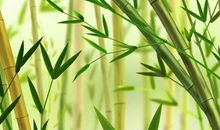 9月财运一飞冲天，桃花暴增，3生肖万事大吉，爱情如意！