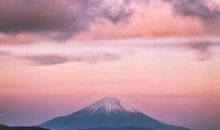 羊年农历几月出生的宝宝命运很好 能大富大贵(图文)