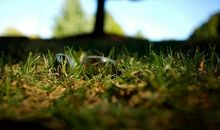 9月，一笔横财飞来，3生肖财星高照，事业春风得意！